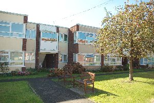 Front view