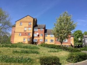 Block view