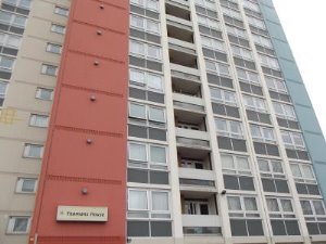 1 bed flat